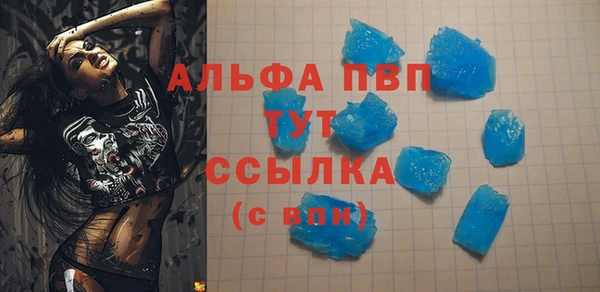 spice Бородино