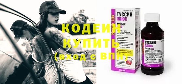 spice Бородино